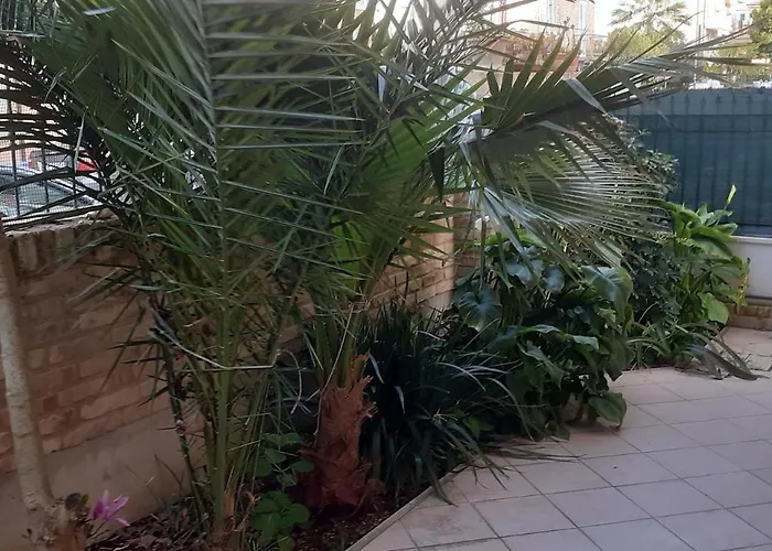 A Sbt A Due Passi Dalla * Σαν Μπενεντέτο ντελ Τρόντο